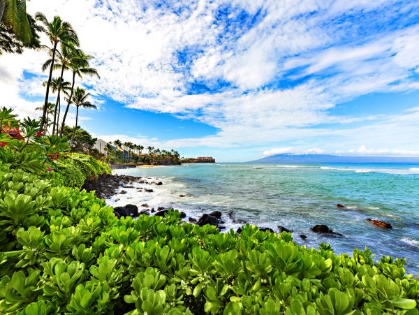 Kahana Home 1055359