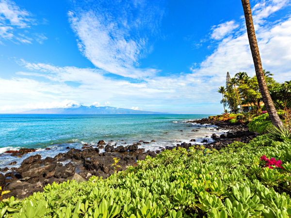 Kahana Home 1055359