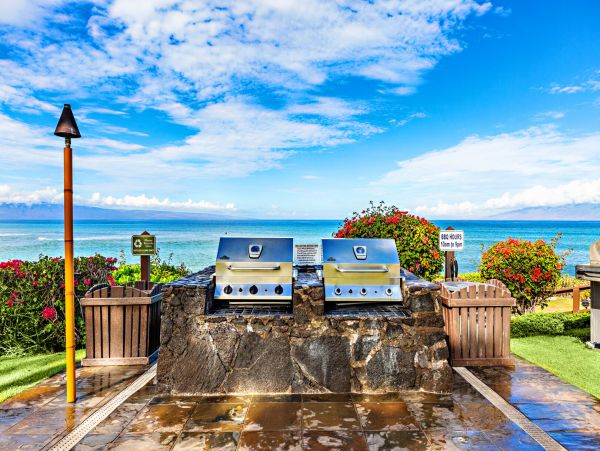 Kahana Home 1055359