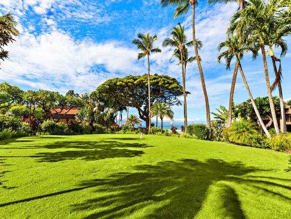 Kahana Home 1055359