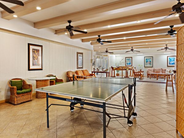 Kahana Home 1055359