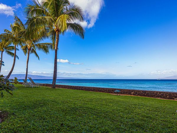Kahana Home 1055361