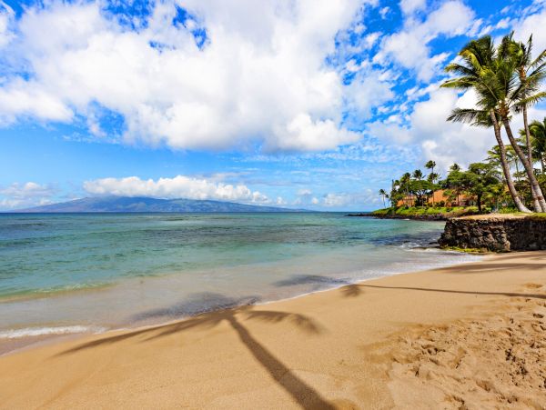 Kahana Home 1055361