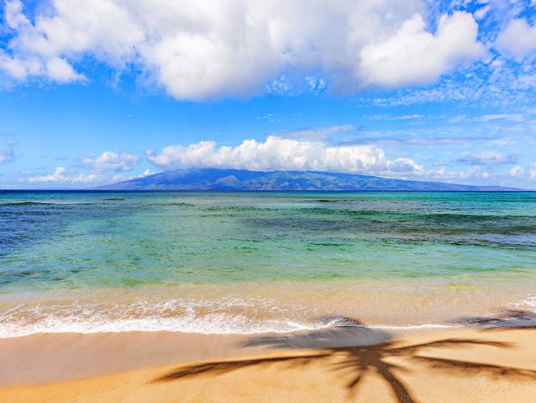 Kahana Home 1055361