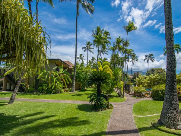 Kahana Home 1055363