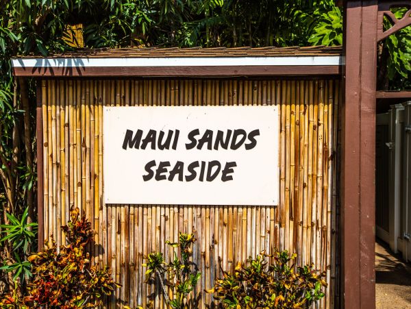 Kahana Home 1055364