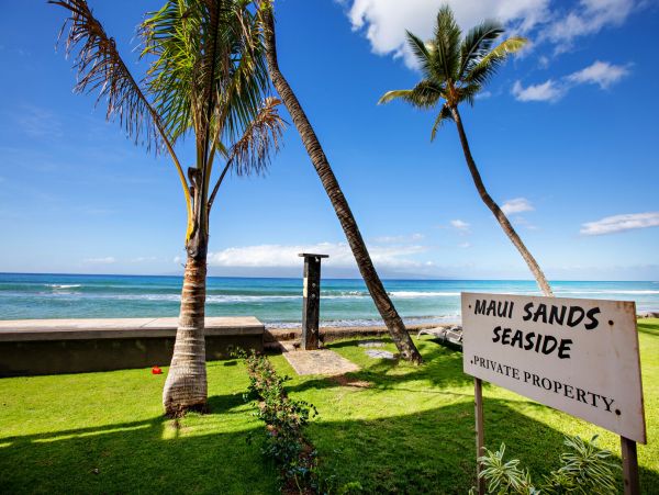 Kahana Home 1055364