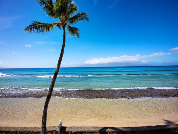 Kahana Home 1055364