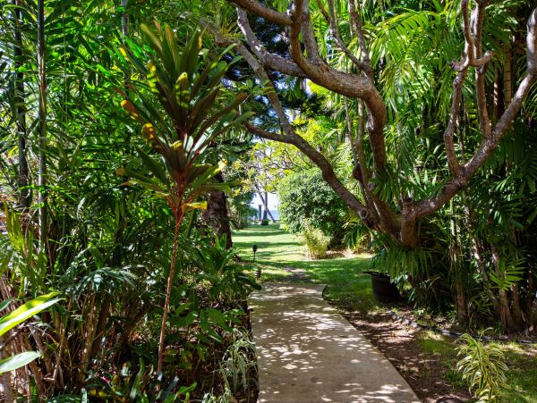 Kahana Home 1055364