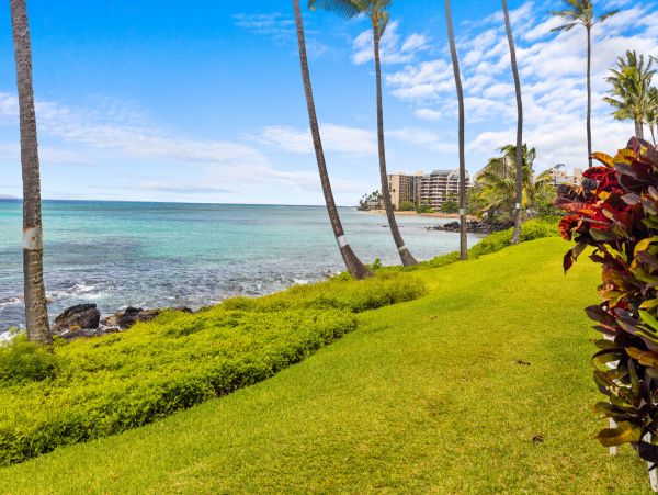 Kahana Home 1055366