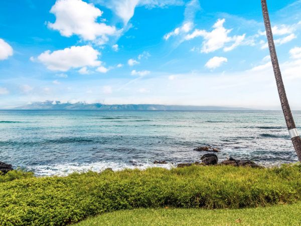 Kahana Home 1055369