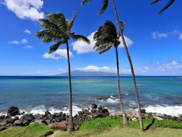 Kahana Condo 1055387