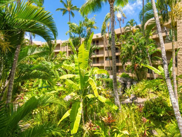 Kahana Home 1055414