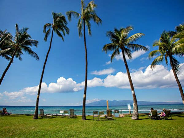 Kahana Home 1055422