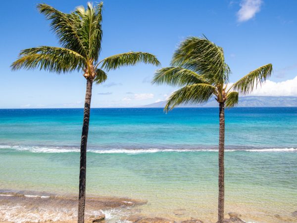 West Maui Oceanfront Condo With Lanai Ocean Views