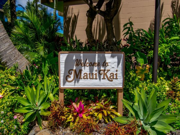 Kaanapali Home 1055437