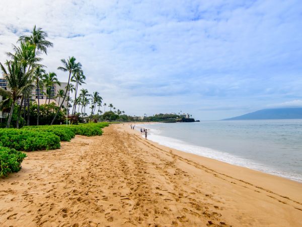 Kaanapali Home 1055438