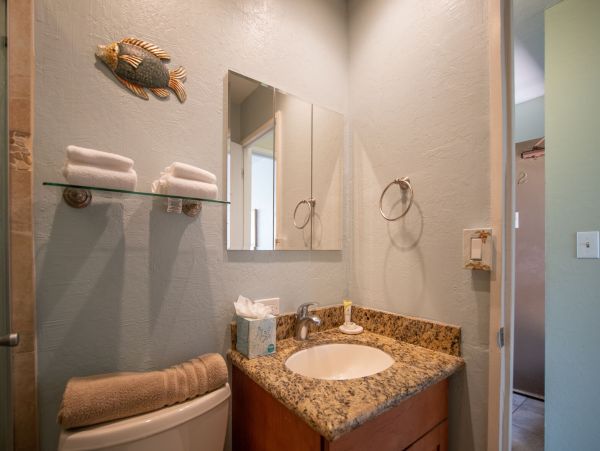 Kaanapali Home 1055440