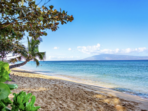 Without Question One of Kaanapali's Finest Condos