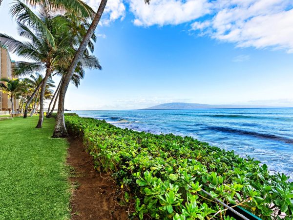 Ka'anapali Oceanfront Condo With Panoramic Views