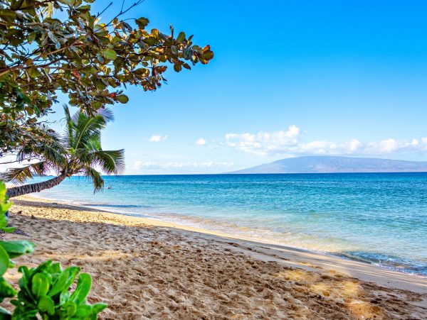 Ka'anapali Oceanfront Condo With Panoramic Views