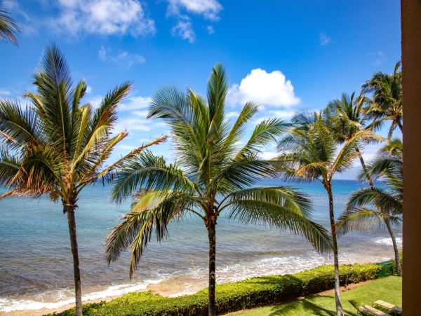 Kaanapali Dream 2 Bedroom Vacation Rental Full Ocean View
