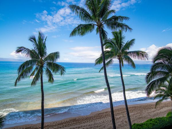 Maui Magnificent Views of The Pacific