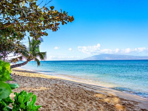 Maui Magnificent Views of The Pacific