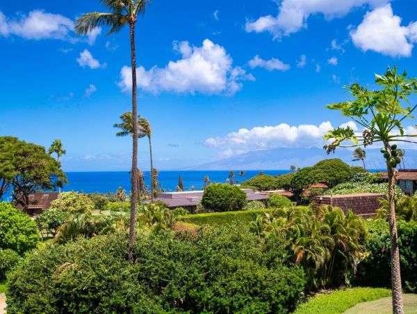 Kaanapali Home 1055458