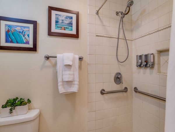 Kaanapali Home 1055458