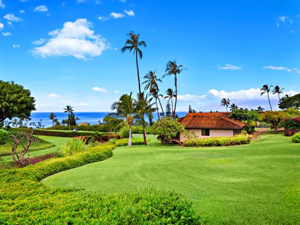 Kaanapali Home 1055458