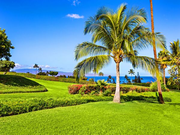 Kaanapali Home 1055458