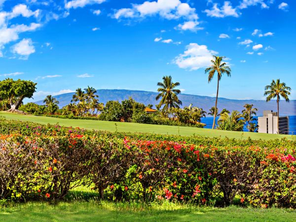 Kaanapali Home 1055458