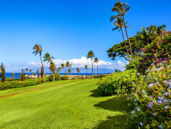 Kaanapali Home 1055458