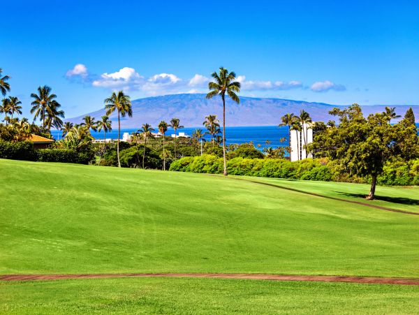 Kaanapali Home 1055458