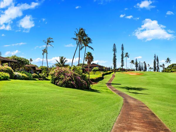 Kaanapali Home 1055458