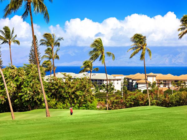 Kaanapali Home 1055458