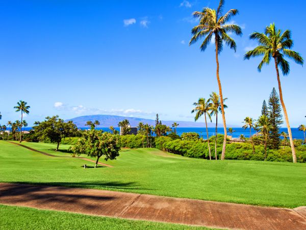 Kaanapali Home 1055458
