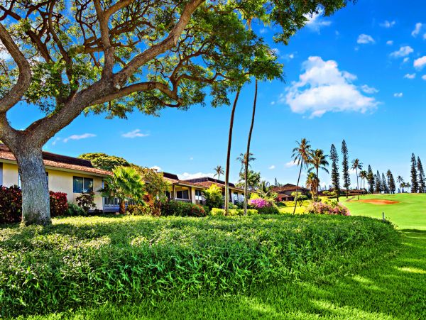 Kaanapali Home 1055458