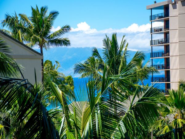 Kaanapali Vacation Condo One Bedroom