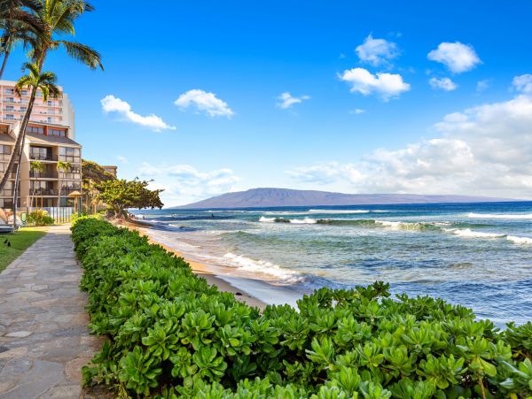 Kaanapali Vacation Condo One Bedroom