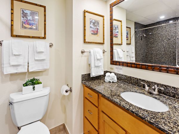 Kaanapali Home 1055469