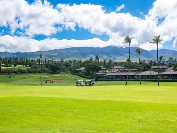 Kaanapali Home 1055472