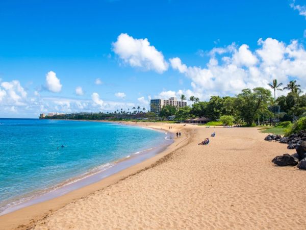 Luxury Maui Vacation Condo with Garden Views