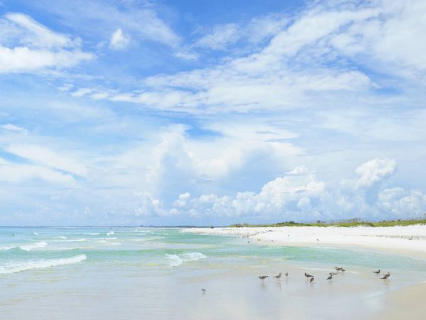 Pensacola Beach Vacation Condo Three Bedroom Gulf Views