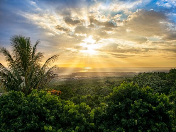 World Class Luxury Retreat Estate Big Island