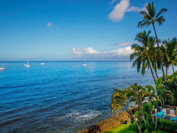 Lahaina Home 1055519