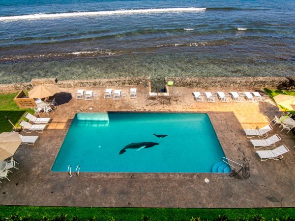 Lahaina Home 1055519