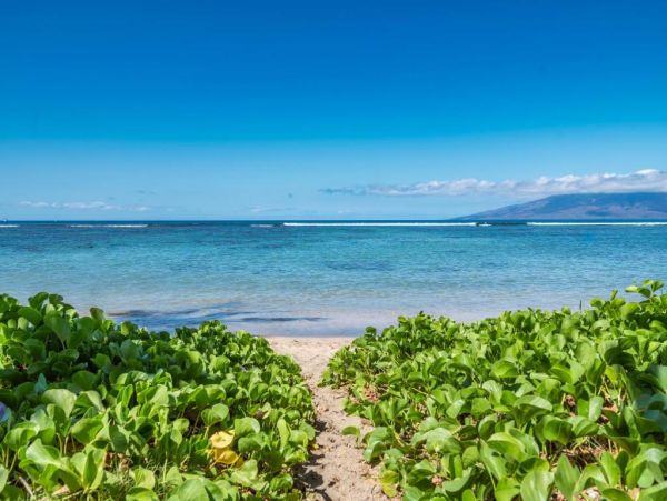 Pure Luxury Beachfront Vacation Condo Boutique Community Private and Exclusive