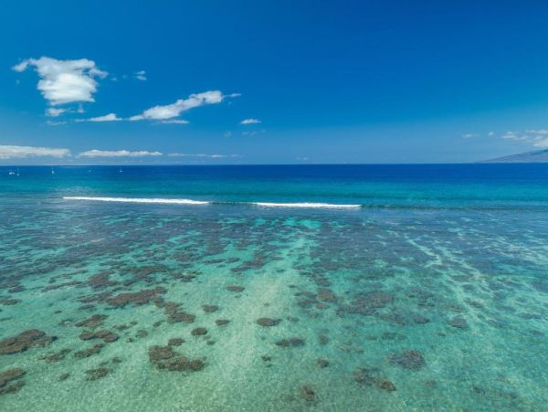Pure Luxury Beachfront Vacation Condo Boutique Community Private and Exclusive
